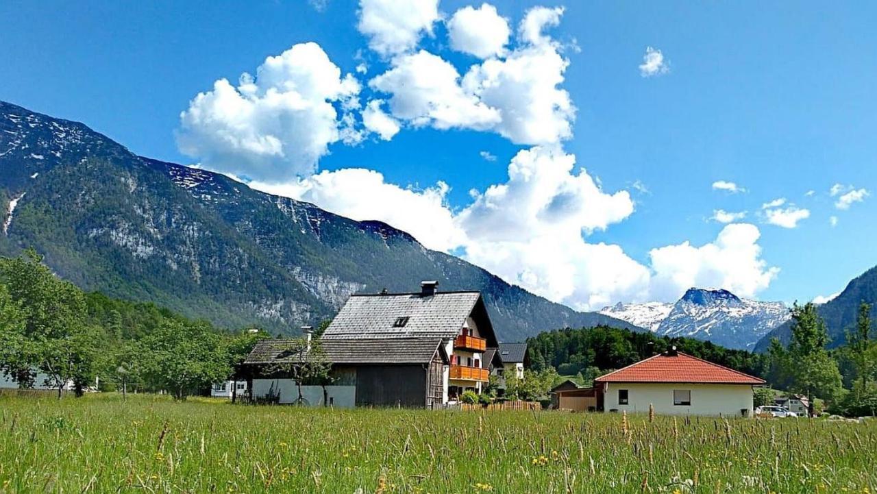 Апартаменты Haus Moni Бад Гоисерн Экстерьер фото