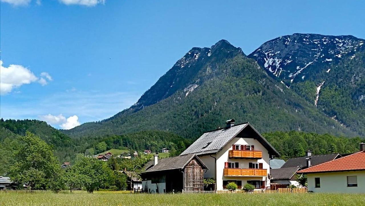 Апартаменты Haus Moni Бад Гоисерн Экстерьер фото